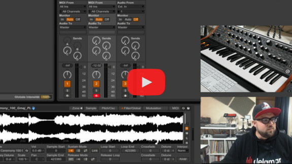 Synthesizer Sounds aus Sample erstellen – delamar Kompakt #007